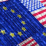 Earnings gap favours US over Europe