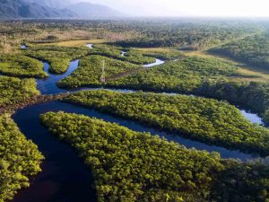 What was on the table at COP30 – and why should investors care?