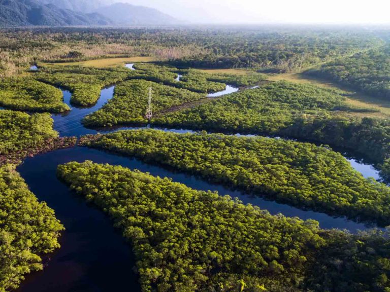 What was on the table at COP30 – and why should investors care?