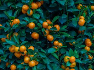 The pension planning ‘cliché’ that still holds true