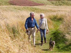 Market timing and retirement: what matters most