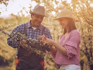 The great wealth cascade – too late for too many?