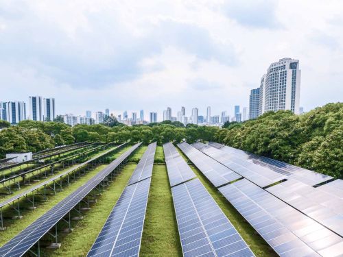 Investire secondo principi sostenibili: dalla teoria alla pratica